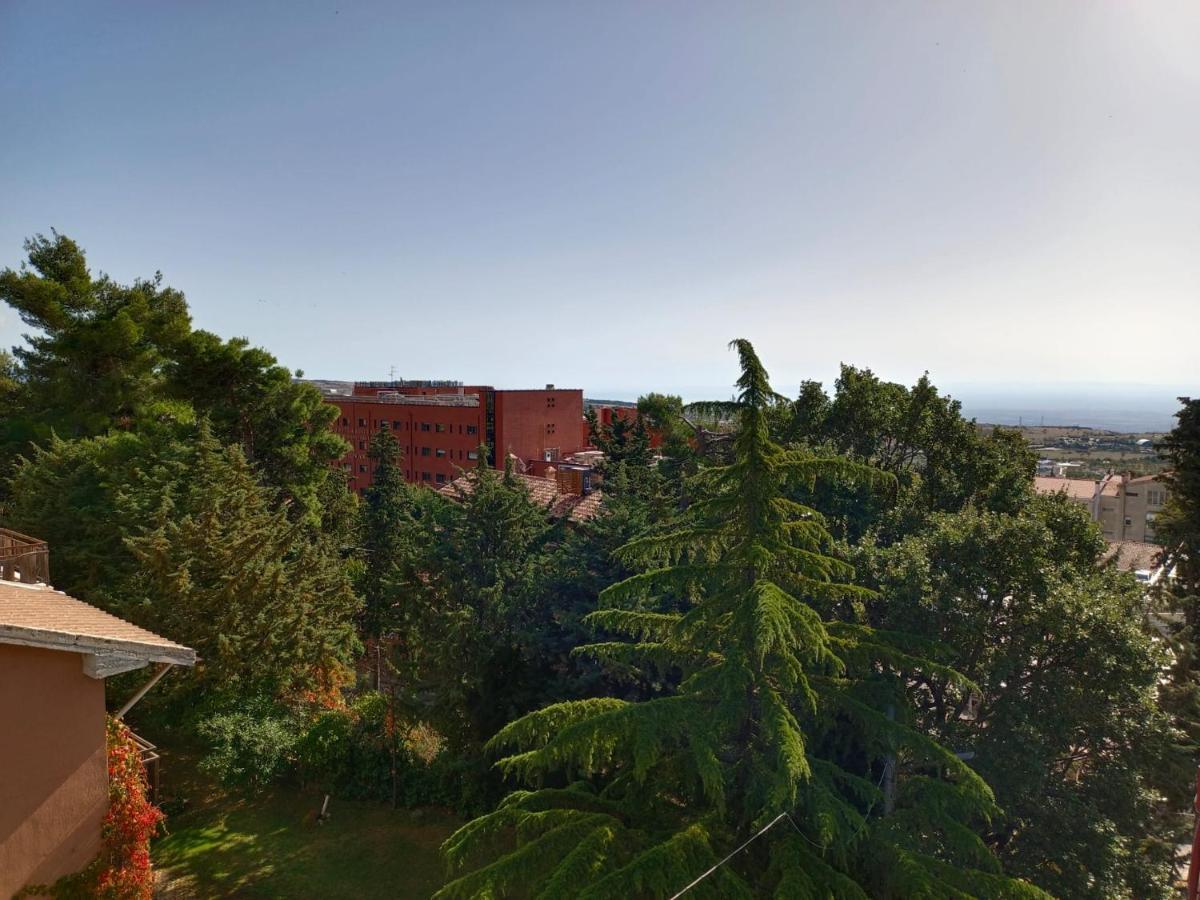 Hotel San Francesco Σαν Τζιοβάνι Ροτόντο Εξωτερικό φωτογραφία