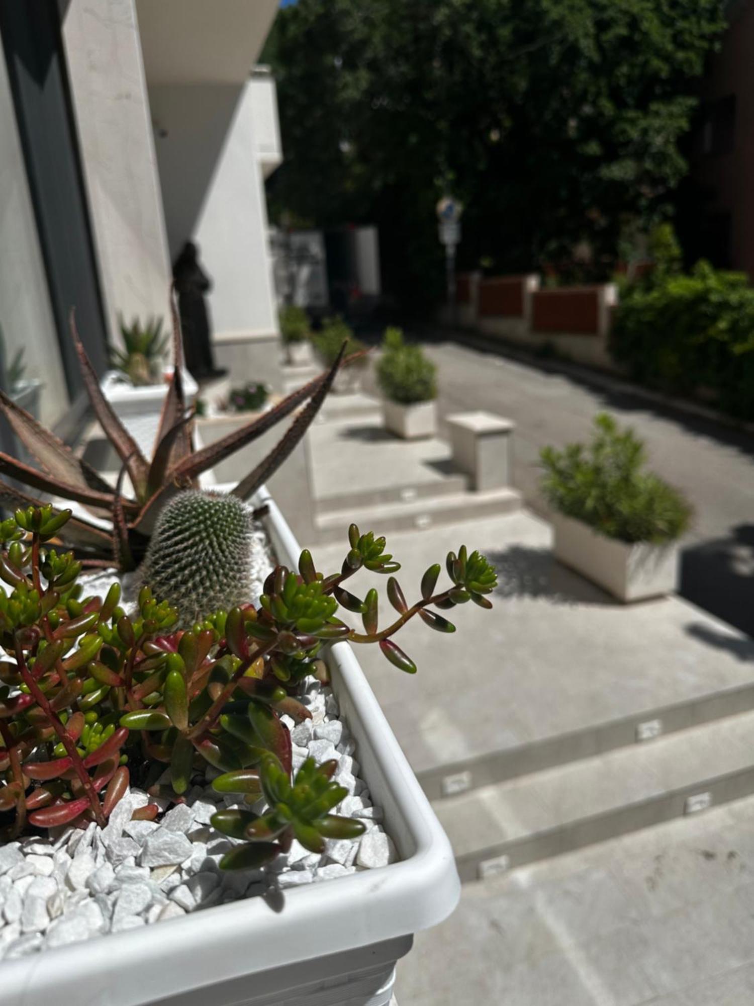 Hotel San Francesco Σαν Τζιοβάνι Ροτόντο Εξωτερικό φωτογραφία