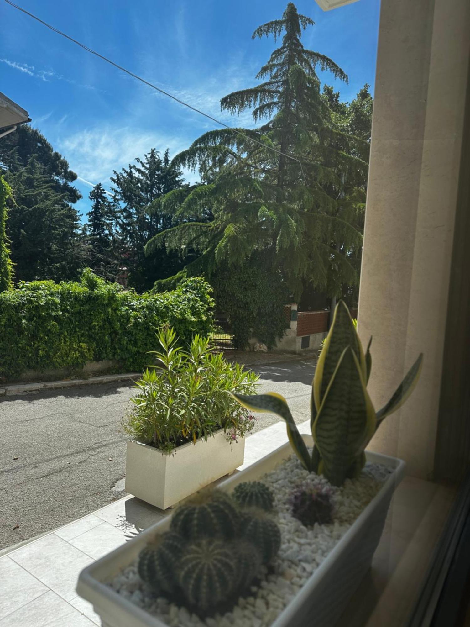 Hotel San Francesco Σαν Τζιοβάνι Ροτόντο Εξωτερικό φωτογραφία